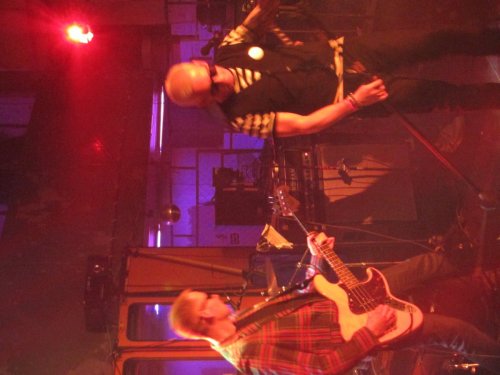 Bulbulators w klubie Sen Pszczoły, listopad 2015