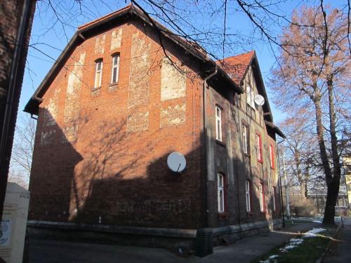 familok punks not dead